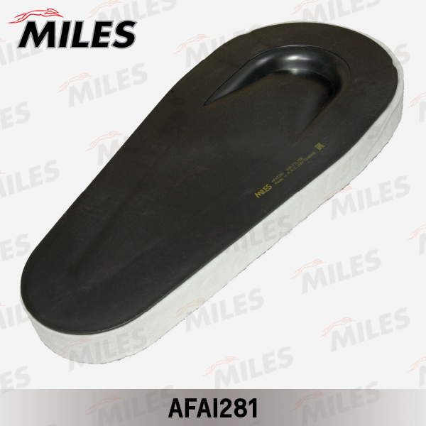 Фильтр воздушный BMW F10F07F01 2.0D3.0D (FILTRON AK3627, MANN C51001) AFAI281